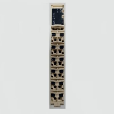 SCHNEIDER SAI2PH – TM5SAI2PH + SOCKET - 2 ANALOG INPUT PT100 PT1000